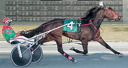 Ms Erica B (Dover Downs photo)