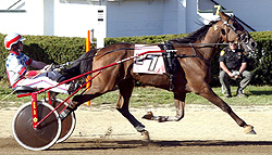 Nathan My Boy (Barry Conrad photo)