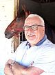 Big morning for trainer Noel Daley at Magical Acres – U.S. Trotting News