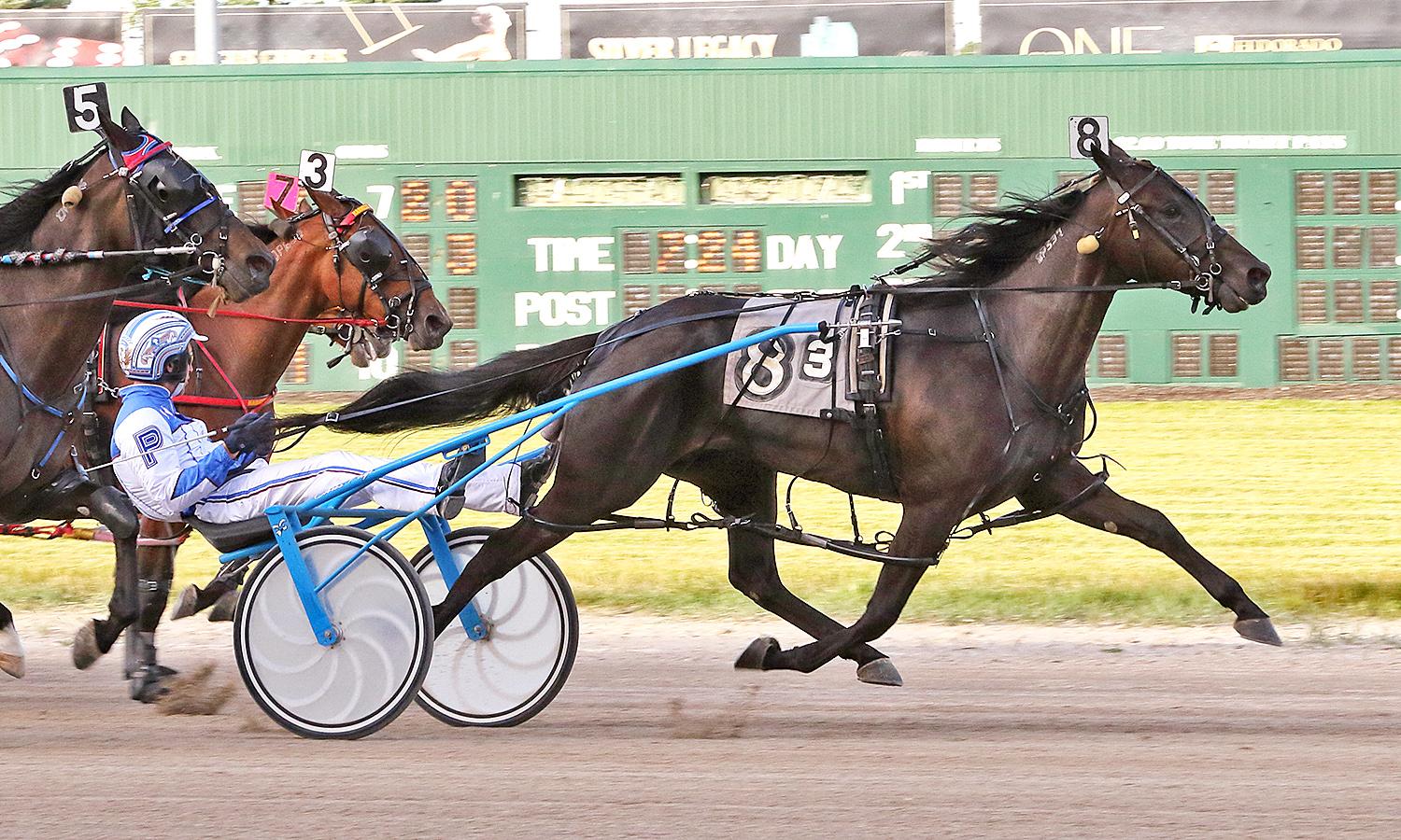 Fillies sizzle in Ohio Sires Stakes at Scioto Downs U.S. Trotting News