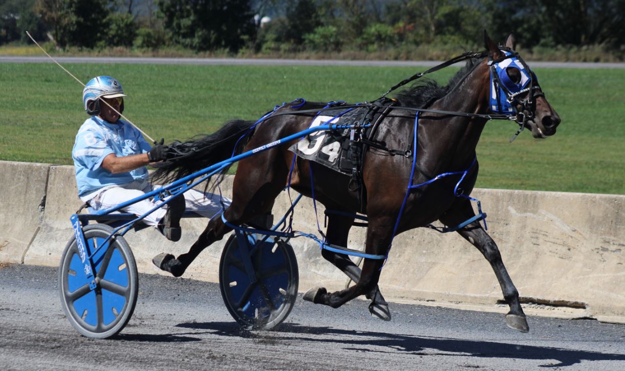 Brickell fillies star at Gratz, PA Fair U.S. Trotting News