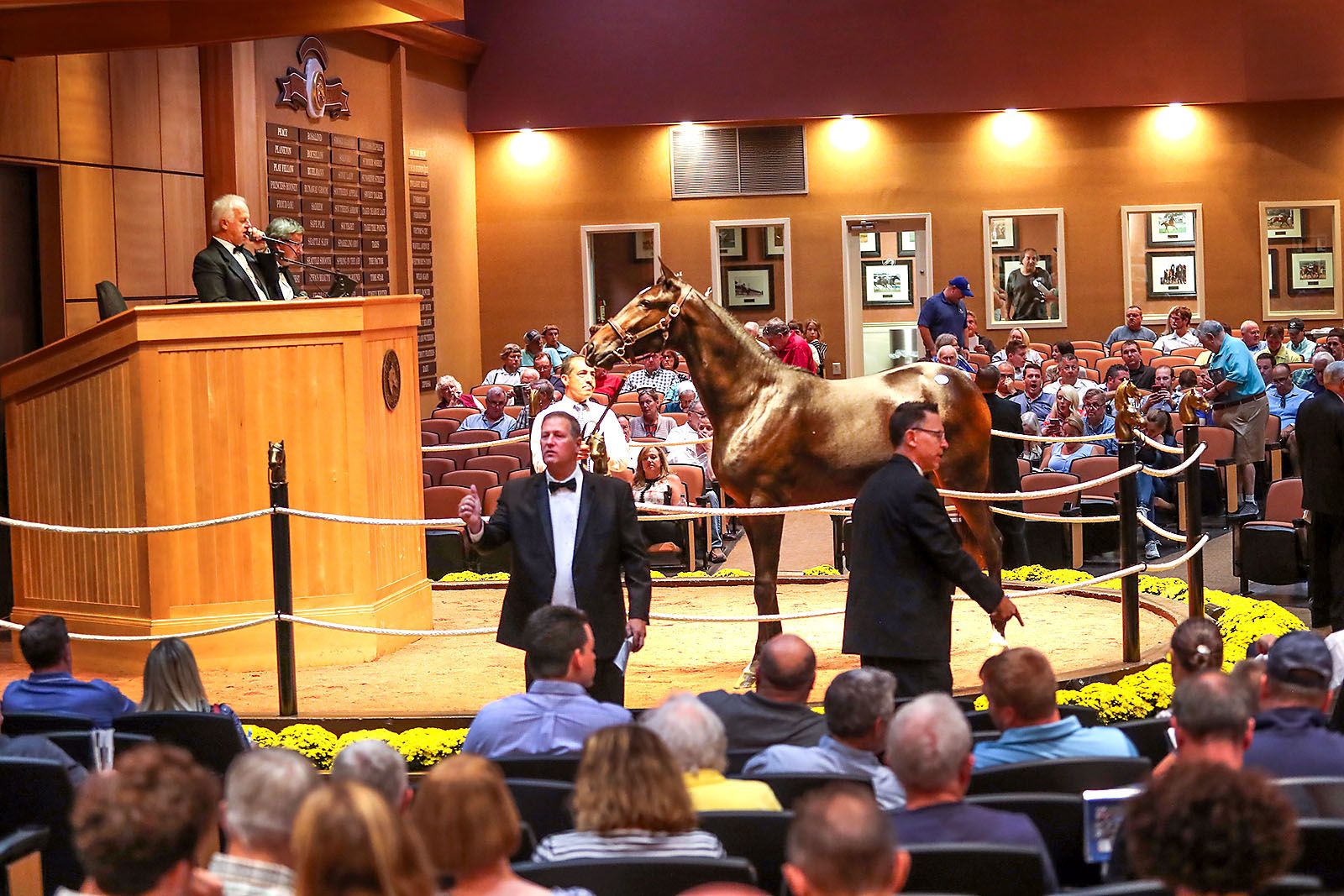 Recordbreaking Lexington Selected Yearling Sale concludes U.S