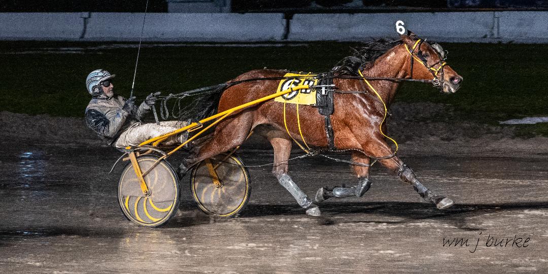 Wilberforce takes Buffalo Raceway’s featured trot U.S. Trotting News