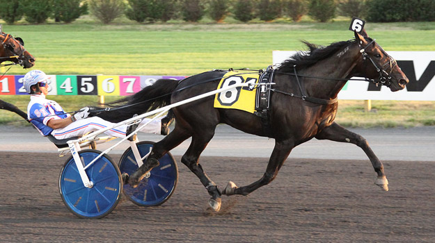 Back Of The Neck Ready For Moni Top Hambletonian Elims U S Trotting 