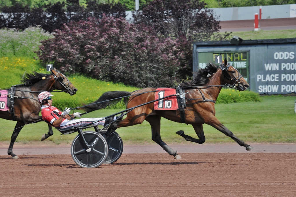 Keg Stand, Global Pandemic impressive in Monday Pocono stakes action