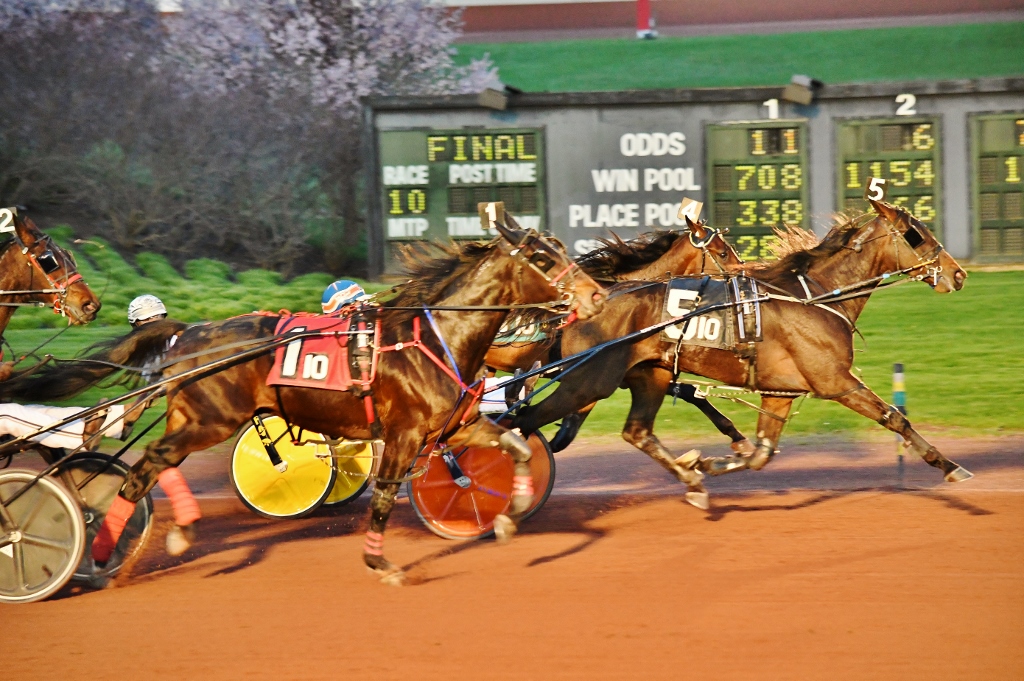 Top Me Off sets PA fair trot record of 157.2 at Gratz U.S. Trotting News