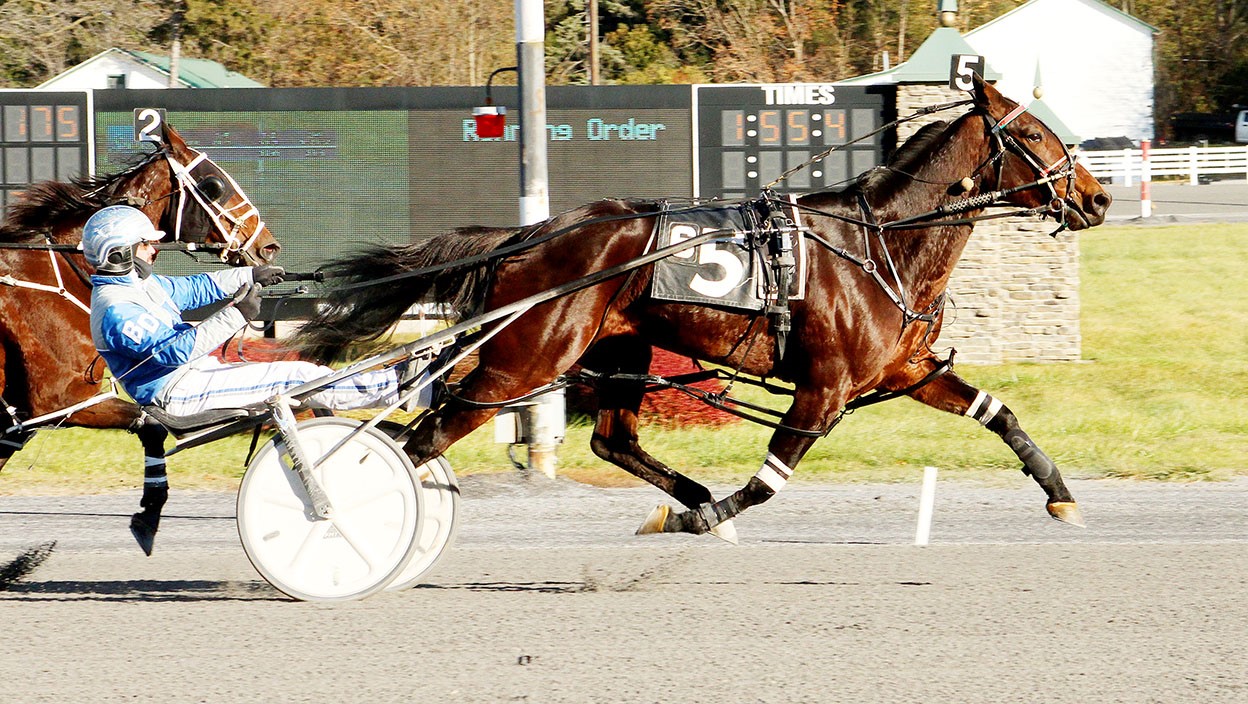 Birch Island Betty wins Saratoga distaff open U.S. Trotting News
