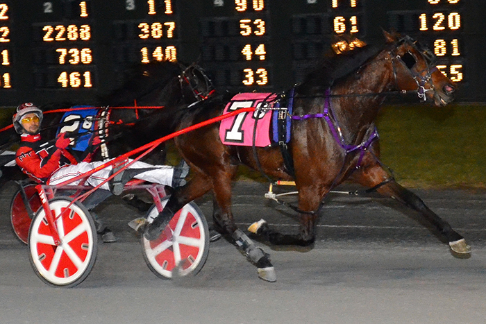 First State Joni, Blue Devil complete DSBF sweeps – U.S. Trotting News