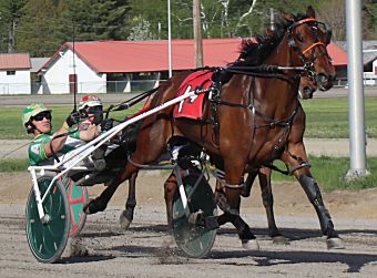 Ry's Red Rocket looks to the score at Cumberland – U.S. Trotting News