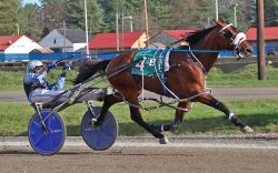 Adriano Hanover scores in track record fashion at Cumberland – U.S. Trotting News