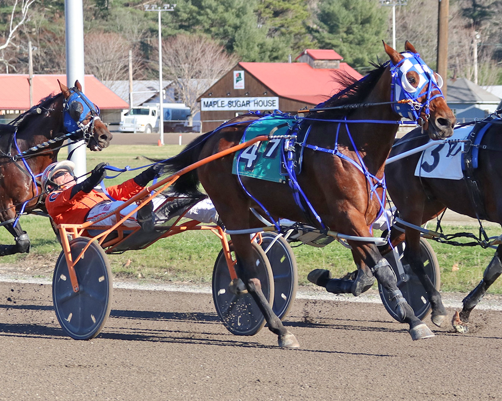 Star Speaker sparkles at Cumberland U.S. Trotting News