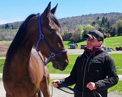 Emily Bost goes from horse riding to harness racing trainer