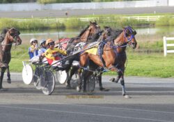 Odds On Blockchain cashes in Oak Grove Open – U.S. Trotting News Odds On Blockchain cashes in Oak Grove Open – U.S. Trotting News