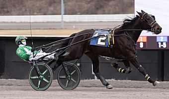 Mucci is motoring with Colorado Joe 1