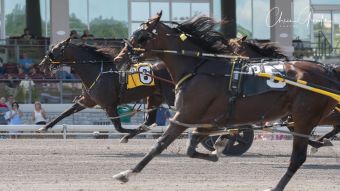 Son of Bettor’s Wish takes Delvin Miller Adios Pace division 2