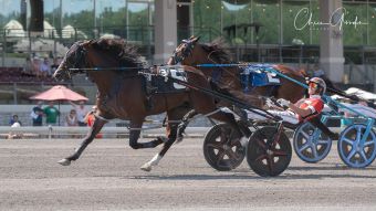 Son of Bettor’s Wish takes Delvin Miller Adios Pace division 1