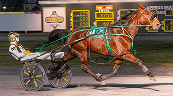 Hunter Hill and driver Drew Monti