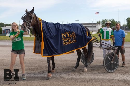 7000 Raceway Read The Room, Jeff Gregory star at Buffalo Raceway – U.S. Trotting News