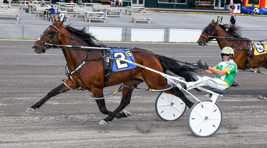 Gregory grabs Open Pace at Vernon – U.S. Trotting News