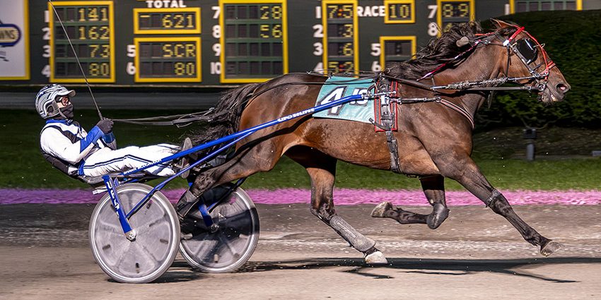 To Ro El Toro Loco, Lip Reader A win Batavia Opens – U.S. Trotting News