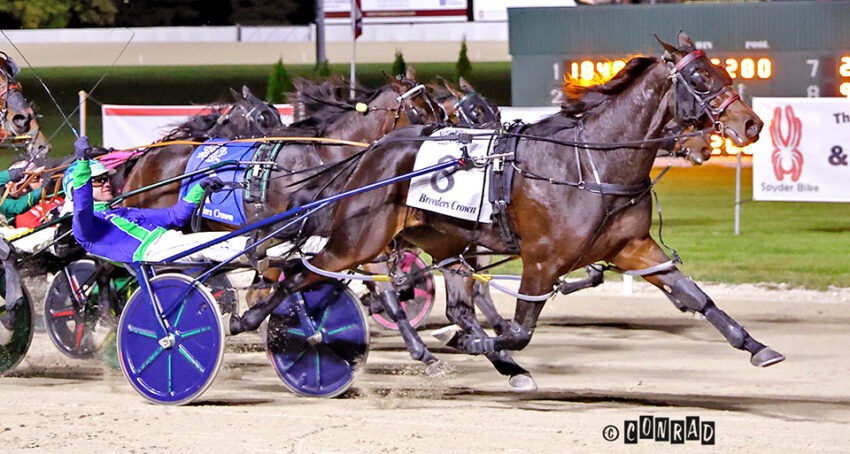 Miss Jum Jabber simply stellar in Breeders Crown triumph